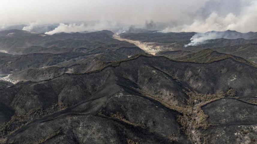 দক্ষিণ কোরিয়ার দাবানলে ঝলসে গেছে পুরো একটি এলাকা। ছবি: ডয়চে ভেলে 