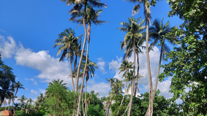 নীলকুঠি