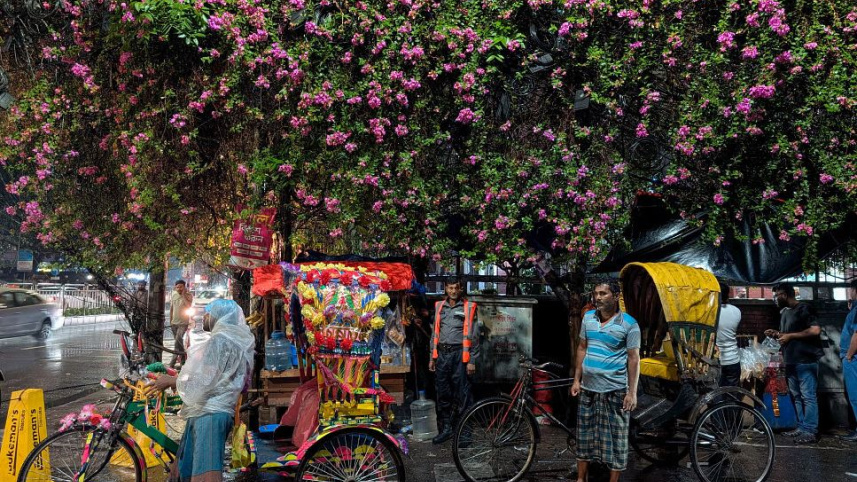 বাগানবিলাস