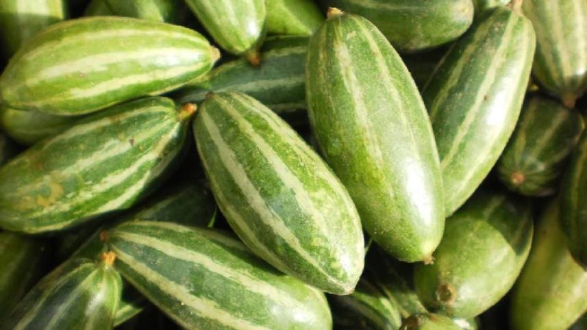 পটলের উপকারিতা