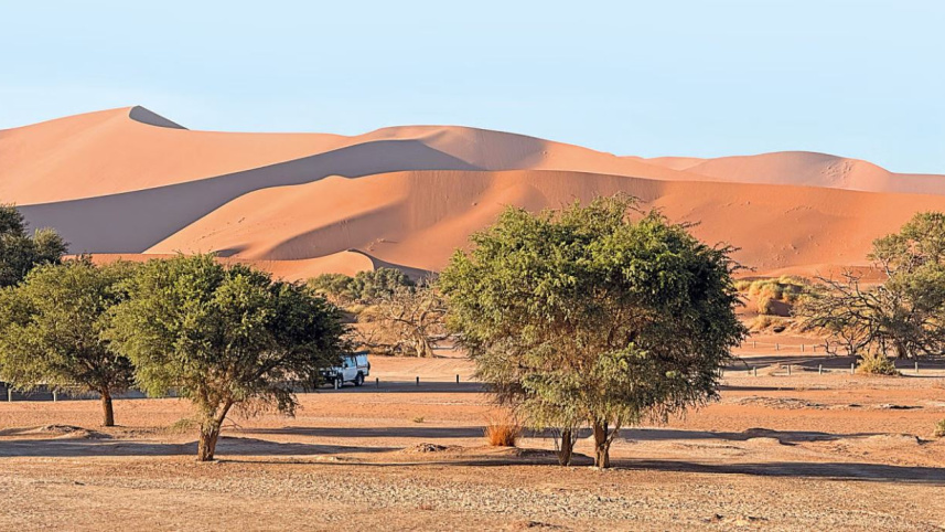 মরুদ্যান