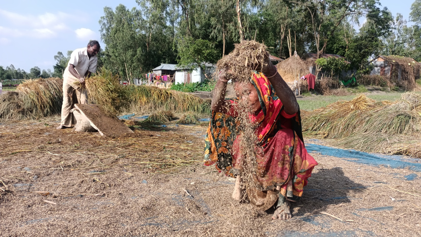 lalmonirhat_paddy_affected-01.jpg