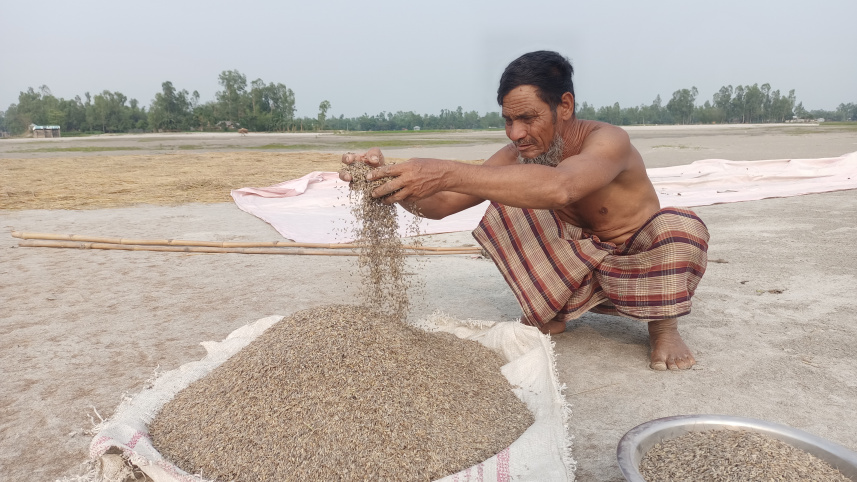 lalmonirhat_paddy_affected-02.jpg
