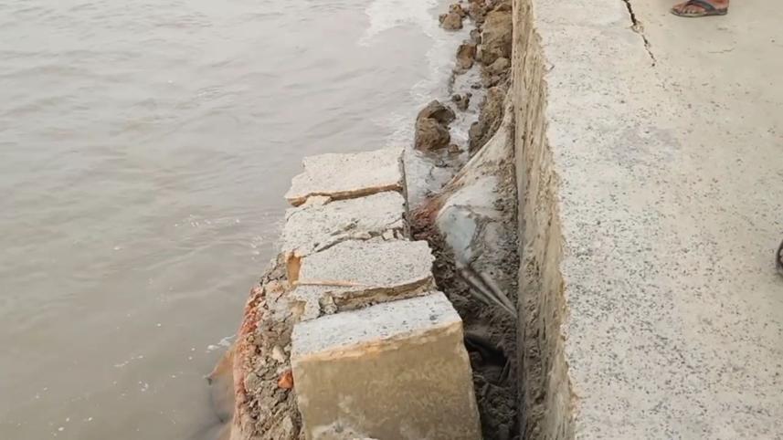 পদ্মা সেতু প্রকল্প রক্ষা বাঁধে ভাঙন। শরীয়তপুরের জাজিরার নাওডোবা জিরো পয়েন্ট এলাকায়. ছবি: পলাশ খান/স্টার 