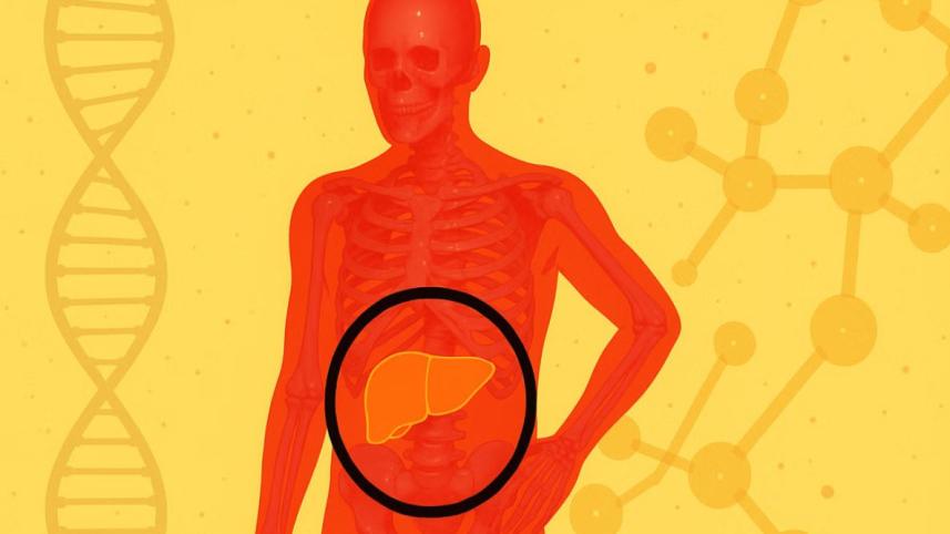 ফ্যাটি লিভার