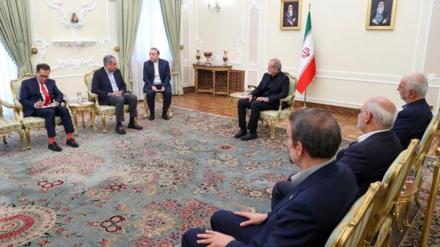 পাকিস্তানি প্রতিনিধি দলের সঙ্গে বৈঠকে পেজেশকিয়ান। ছবি: সংগৃহীত