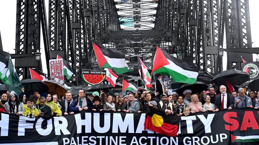 Sydney Harbor Bridge protest 