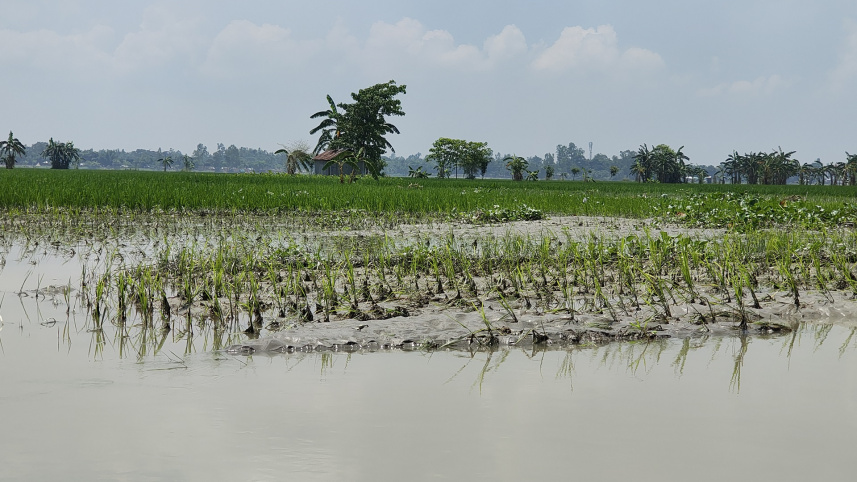 lalmonirhat_flood-01.jpg