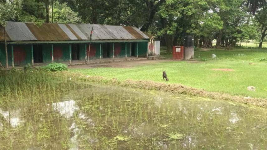 mymensingh_tin-shed_school.jpg
