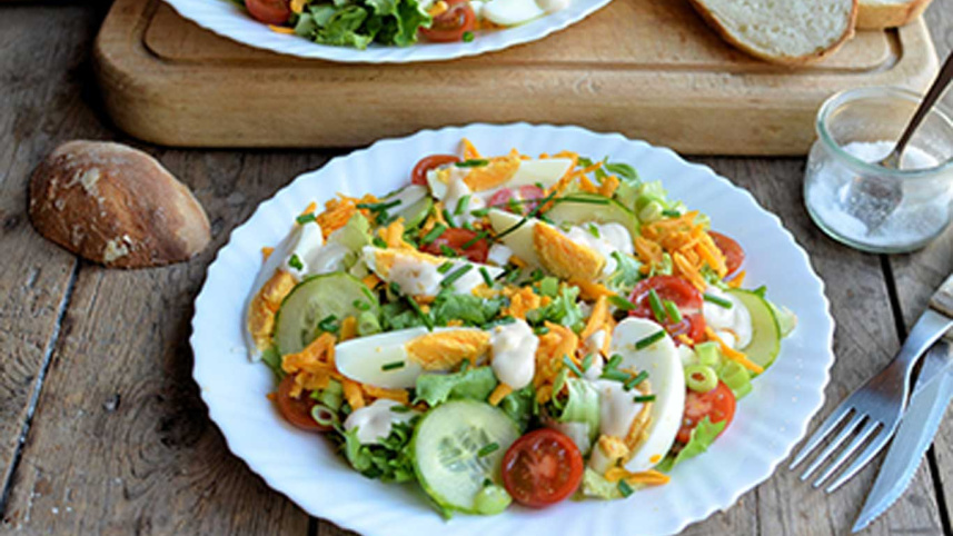 cheese-egg-salad