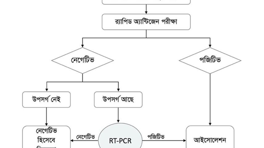 Corona test graph.jpg