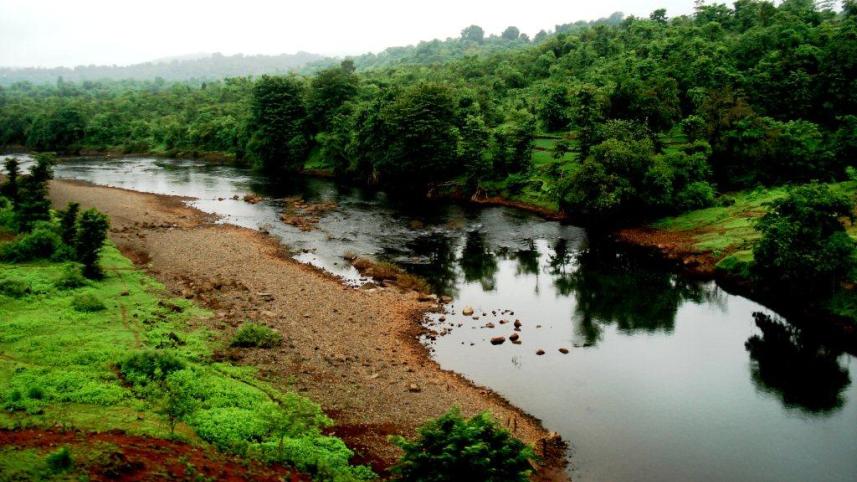 GOA 19-26 July 2008 059 (2).jpg