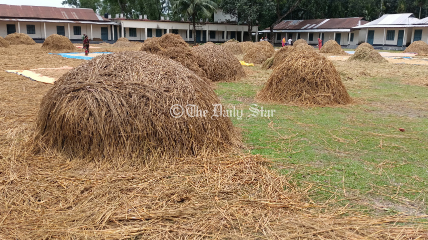 Lalmonirhat playgrounds-02.jpg