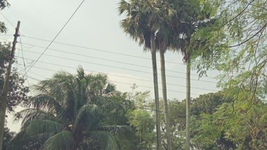 pabna3.jpg