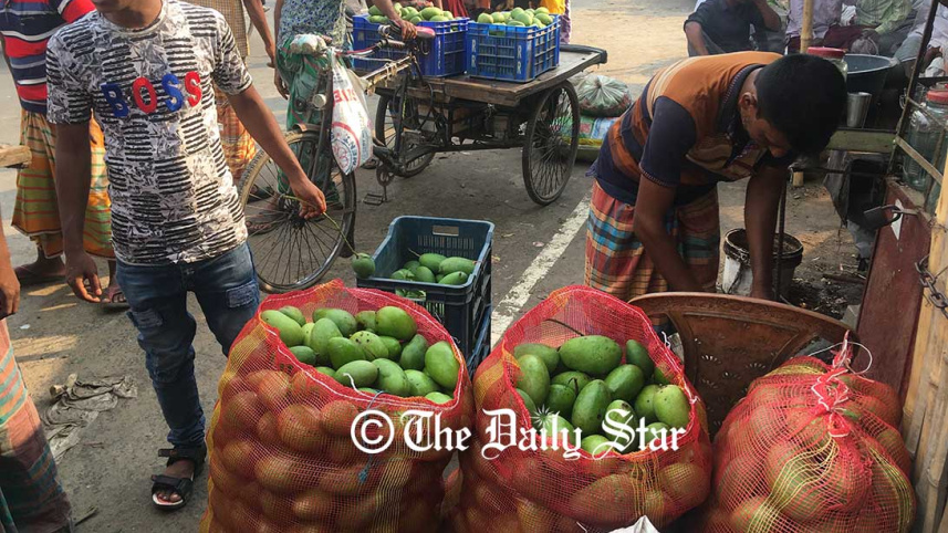 Rajshahi-Mango5_DS.jpg
