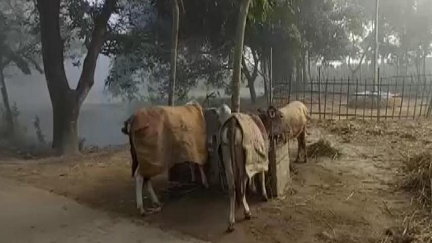 thakurgaon2.jpg