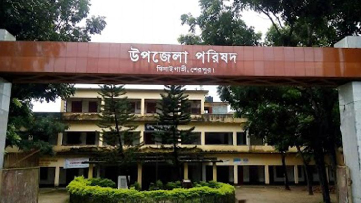 উপজেলা পরিষদ