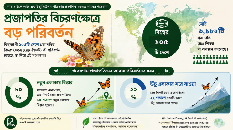 ছবি:এআইয়ের সহায়তায় তৈরি