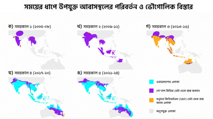 ছবি: এআইয়ের সহায়তায় তৈরি