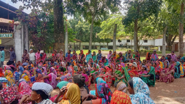 ছবি: স্টার।