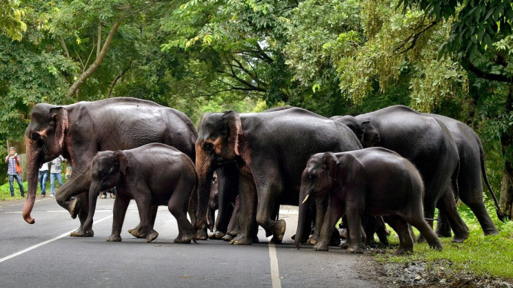 ছবি: রয়টার্স