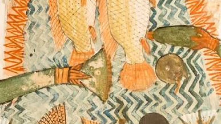 tilapia