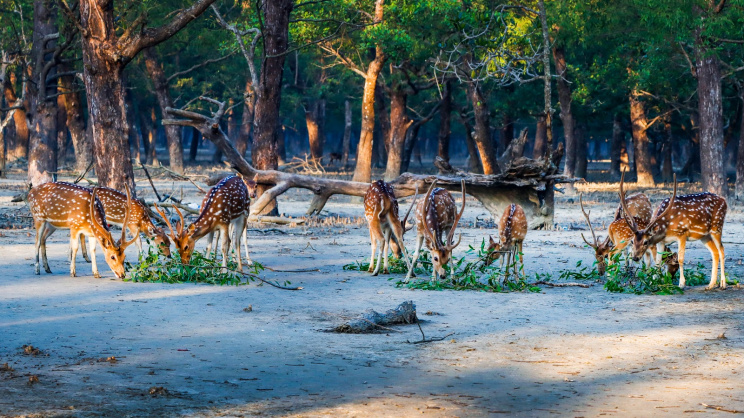 ছবি: স্টার।