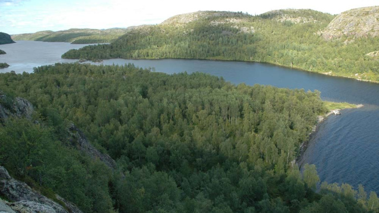 Harefossen2