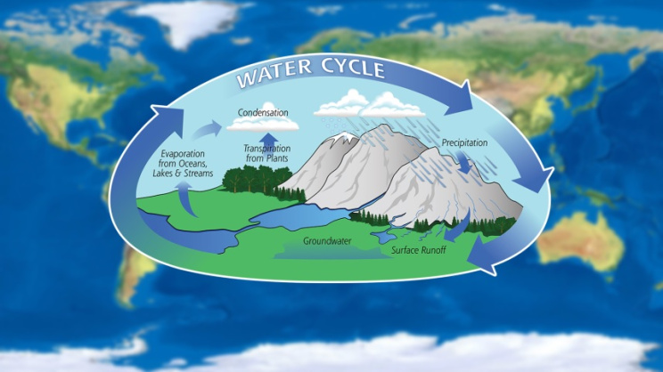 Water Cycle
