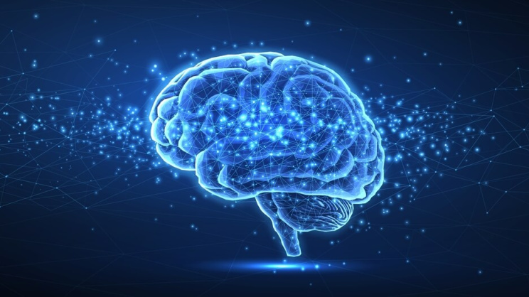Average-IQ-Score-in-the-