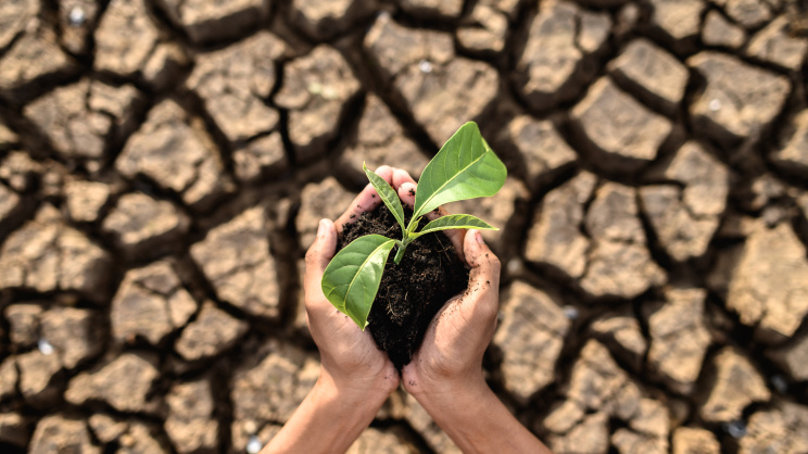 dry-land-warming-world