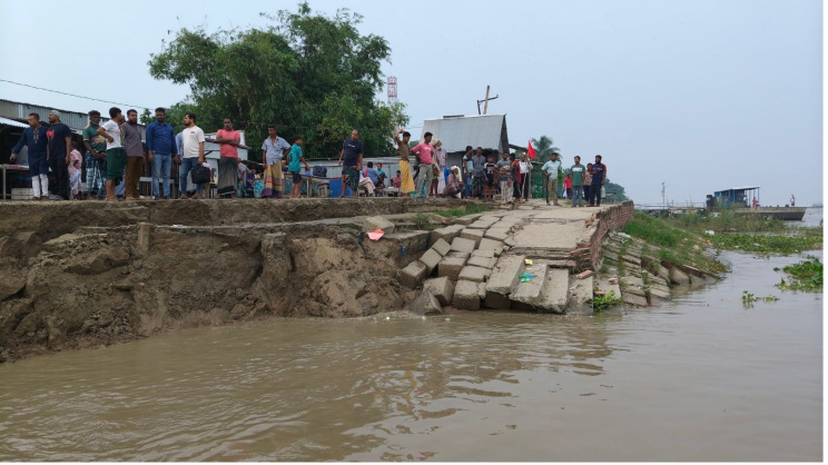 পদ্মার ডান তীররক্ষা বাঁধে ভাঙন। ছবি: স্টার