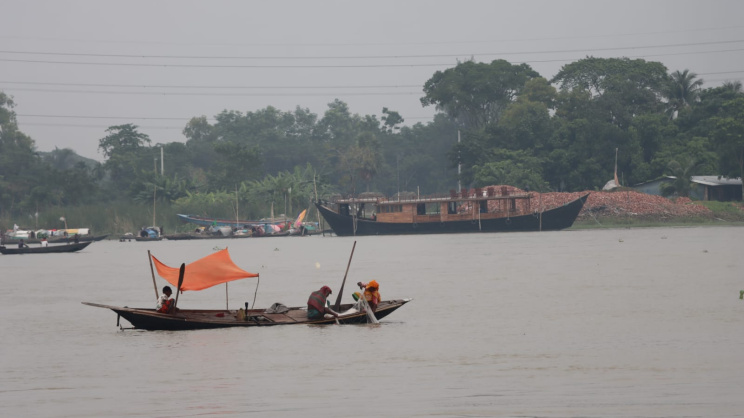 Hilsa