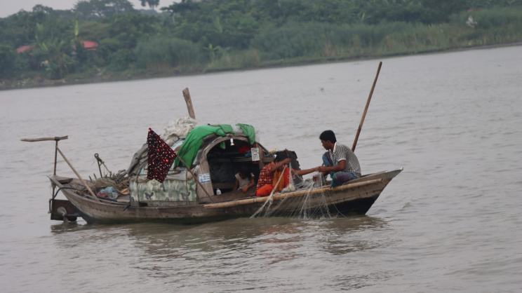 Hilsa