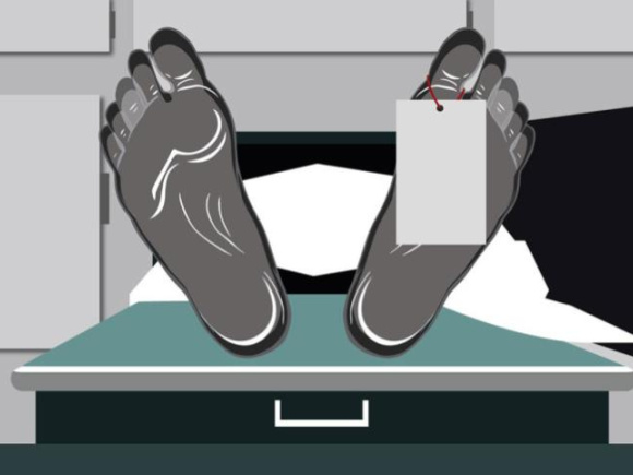 স্টার অনলাইন গ্রাফিকস