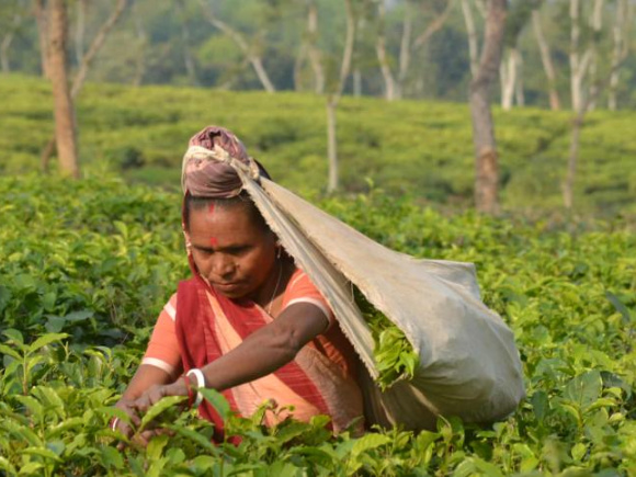 ছবি: মিন্টু দেশোয়ারা/ স্টার