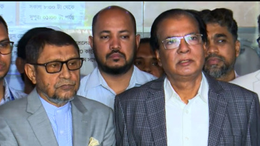 আসাদুল হাবিব দুলু