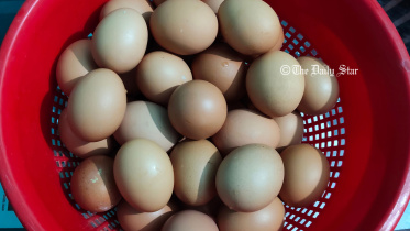 কিশোরগঞ্জে নিলামে ডিম বিক্রি