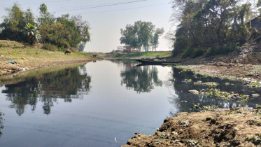 ছবি: স্টার।