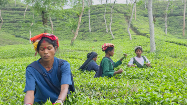 ছবি: মিন্টু দেশোয়ারা