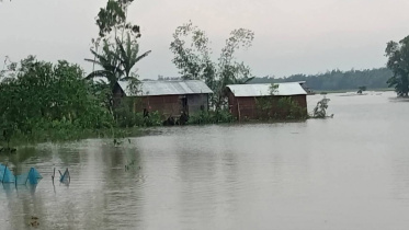 ছবি: স্টার