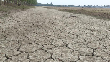 ছবি: স্টার