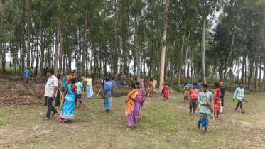 ছবি: সংগৃহীত