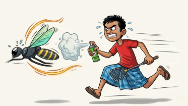 Keep your home mosquito free