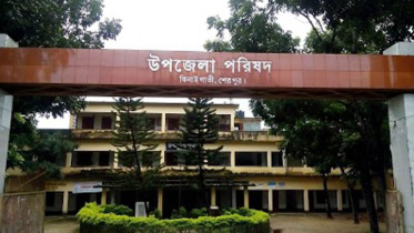 উপজেলা পরিষদ