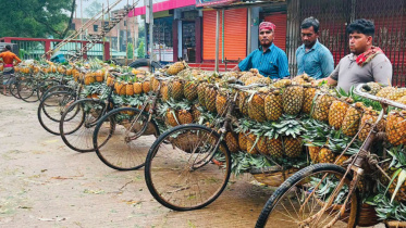 Pineapple-farmers