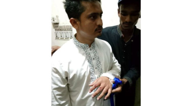 Sarjis
