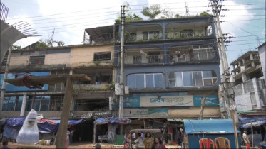 ashulia 