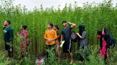 কুষ্টিয়ায় পুশ ইন চেষ্টা