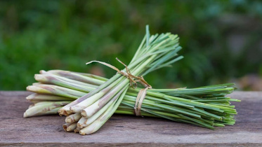 Lemongrass